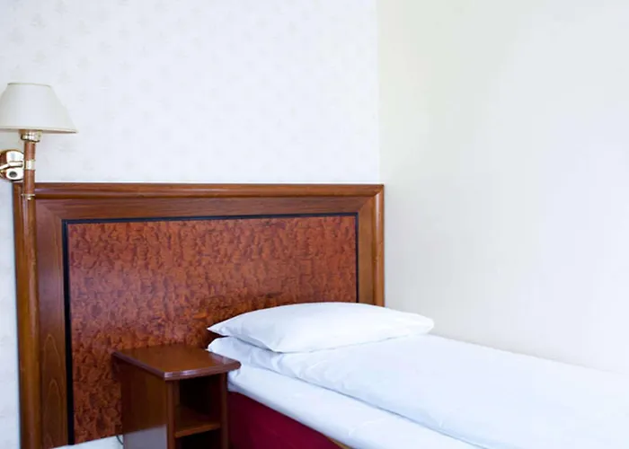 酒店 奥古斯丁品质酒店 4*